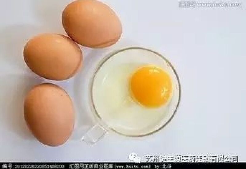 咳嗽能吃鸡蛋吗