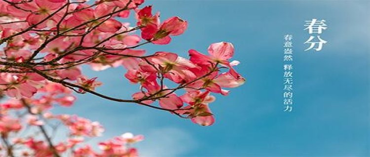 春分节气的祝福语短句 春分节气的含义是什么
