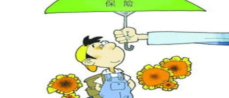 2023惠州居民医保新生儿能在粤医保上办理参保登记吗？