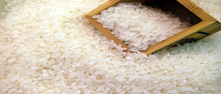 糙米好为什么不建议吃 粳米和糙米的区别