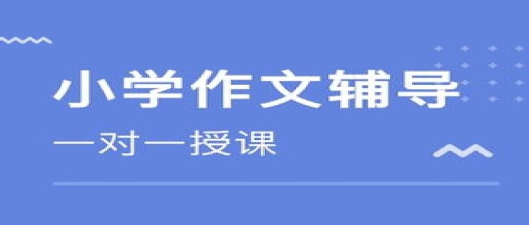 2023武汉东湖新技术开发区小升初报名时间及方法