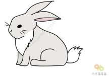 兔子彩色简笔画怎么画