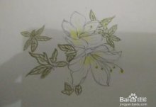 简笔画报花名：手绘铅笔画“白杜鹃花”画法