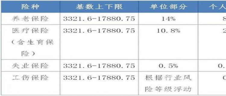 桐庐县社保个人缴费最低标准2023 桐庐县社保个人和公司缴费金额是多少