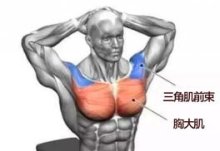 胸大肌拉伸方法