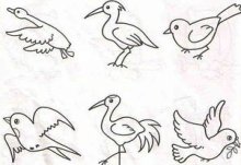 小鸟的简笔画怎么画？