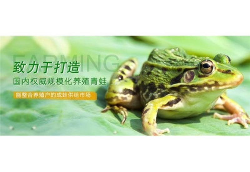 养殖蛙的技术和方法