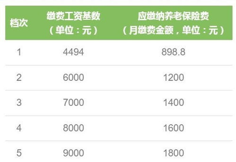 2023~2024年漯河职工社保缴费标准（缴费基数+缴费比例），看看你的社保每月缴纳多少钱？